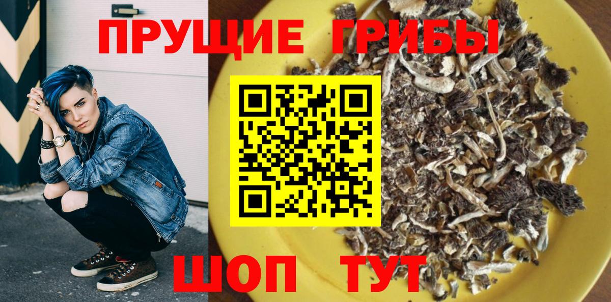 Выкса  Псилоцибиновые грибы прущие грибы  Вход с VPN 
