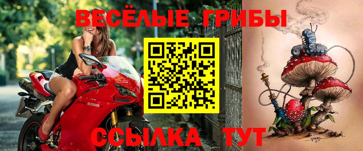 Галлюциногенные грибы прущие грибы Выкса